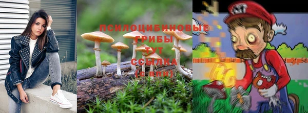 мет Вяземский