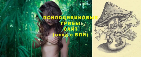 ешки Вязьма