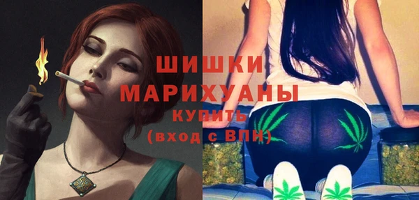 ешки Вязьма