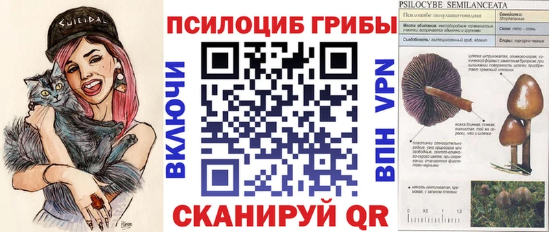 купить  сайты  Новоуральск  ссылка на мегу tor  Галлюциногенные грибы прущие грибы 